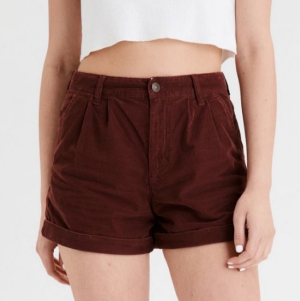 NWT AMERICAN EAGLE BROWN CORDURY HIGH RISE PLEATED CUFFED MOM SHORTS SIZ…